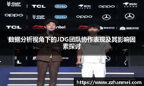 数据分析视角下的JDG团队协作表现及其影响因素探讨